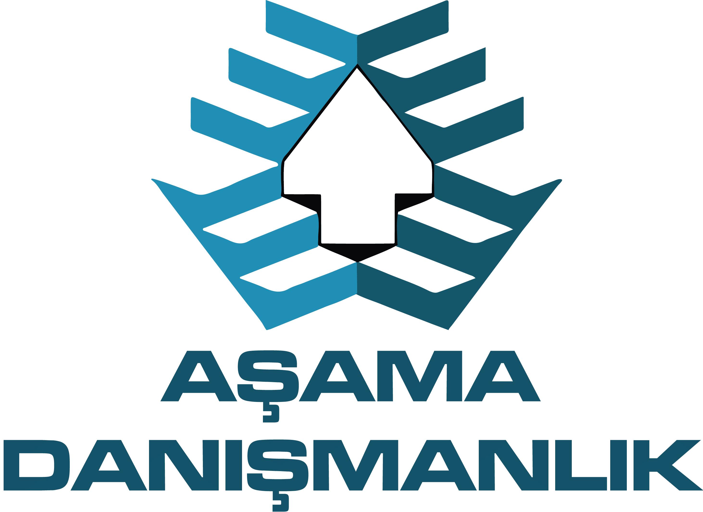 Aşama Danışmanlık Logo